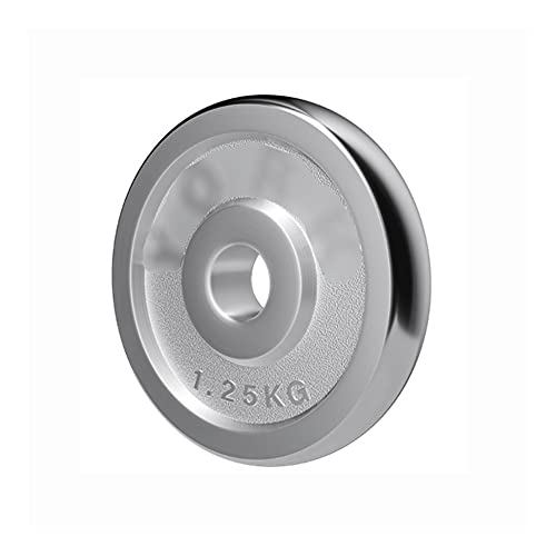ソリッド鋳鉄ウェイトプレート、1インチバーベルプレート、フィットネスバッファープレート、フリーウェイトトレーニング、柔軟性の向上(サイズ:1.25kg/2.7ポンド*1)