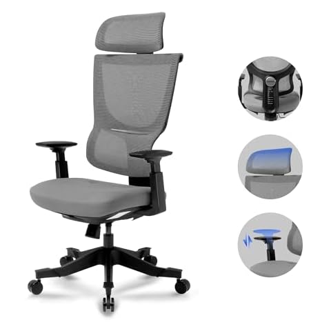 FLEXISPOT Chaise de Bureau Ergonomique Cover