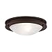 Livex Lighting 7057-07 Ariel 2 Light Ceiling Mount, Bronze