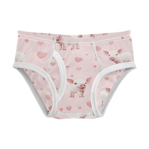 White Pigs Boys' Underwear Cotton Pink Hearts Boys Briefs Soft Toddler Underwear 2T