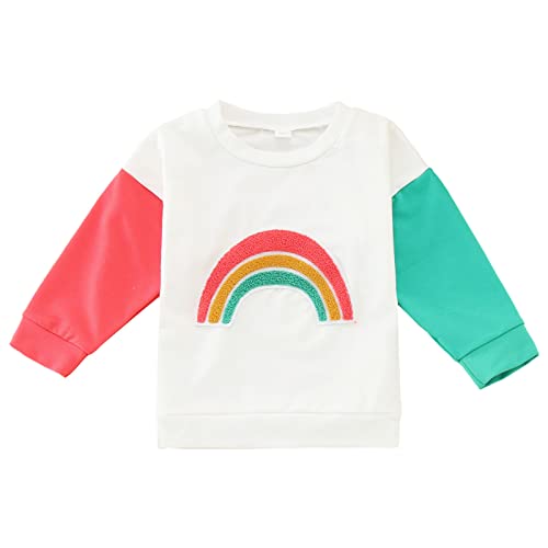 Toddler Kids Baby Boys Girls Hoodies Crewneck Pullover Sweatshirt Solid Color Tops Warm Fall Winter Clothes