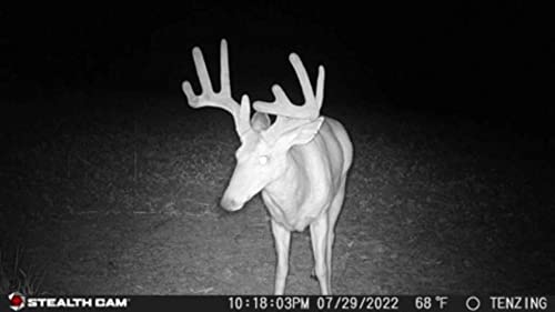 Stealth Cam Fusion X Wireless Trail Camera