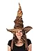 Harry Potter tm Deluxe Sorting Hat for Adults and Teenagers (gorro/sombrero)