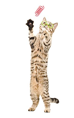 Tamu style Cat Spring Toys (30 Pack), Plastic Coils for Indoor Active Healthy Play, Colorful 2 Inch Spirals