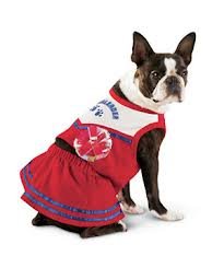 Disfraz para perro - Animadora talla M