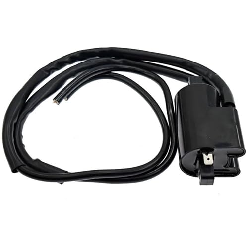 Bobine Allumage Bobine D'allumage CDI 12 V Moto pour Suzuki pour GSF650 pour Bandit GSF 650 A/S/SA 2005 2006 Bobine d'allumage Moto