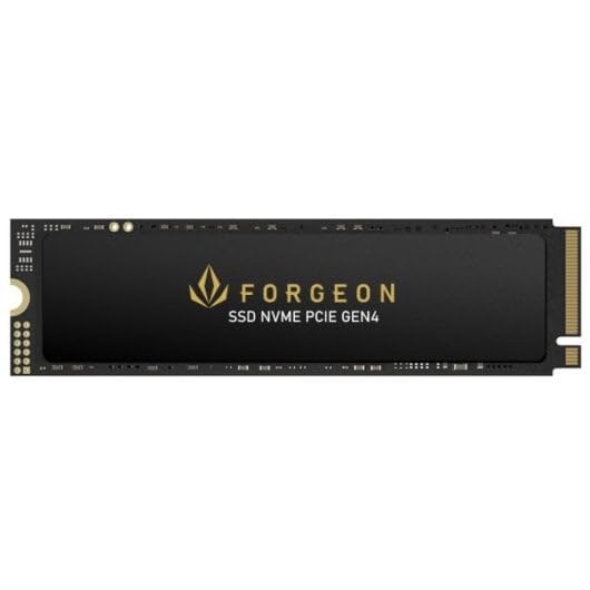 Forgeon Nimbus Plus Disco SSD 1TB NVMe PCIe 4.0 M.2 Gen4, 7000MB/s Lectura, Compatible PS5