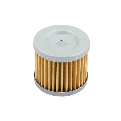 Filtre à huile pour moto 125 et 250 compatible avec les modèles GT125R GT250R et GV250 en lot de 10