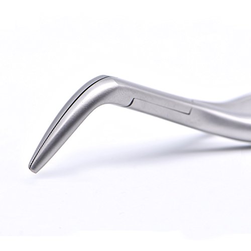 Dental Tooth Extraction Forcep For Root Fragment Minimally Invasive Dental Instrument Curved Forcep (Maxillary And Mandibular Teeth) #TOP4