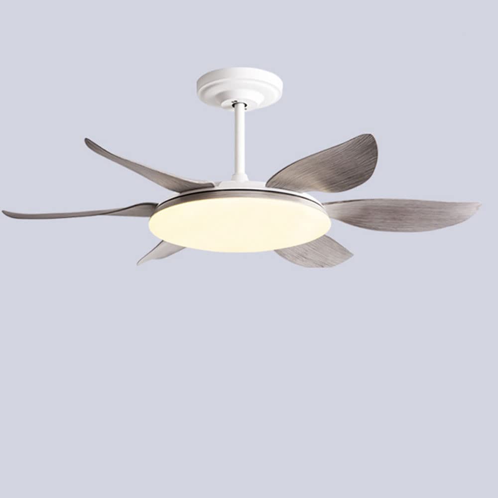 Ventilateur de plafond grand plafonnier intérieur 45cm 6 vitesses avec lumière