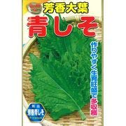 Amazon | 金の種 芳香大葉青しそ 青しそ | 野菜