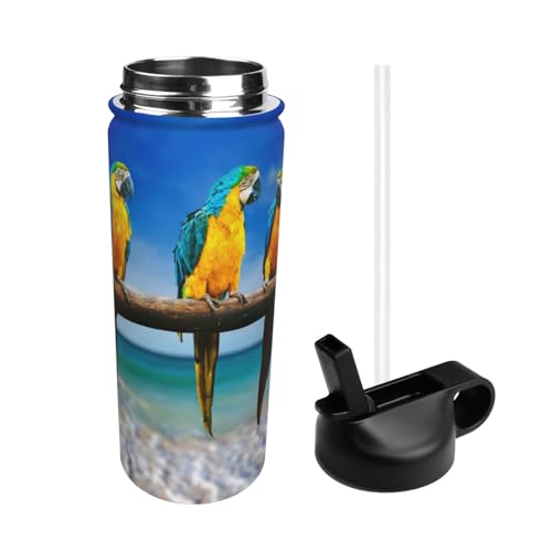  CR IE  X|[c{g @r e q l  Xg[t ۉۗ  v[g Mtg