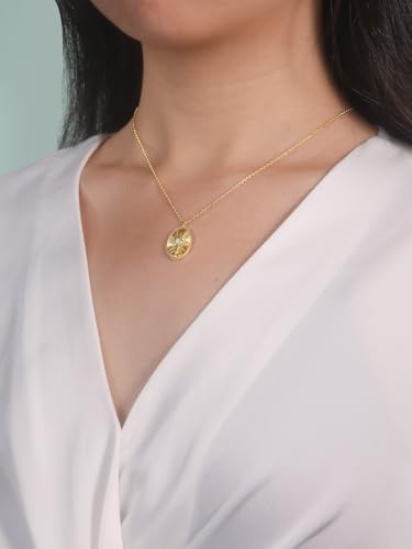 FWM Moissanite Sparkly Necklace for Women, Yellow Gold Plated 925 Sterling Silver, North Star/Flower/Candy Pendant Necklaces, 16"/18"/20" Adjustable, Anniversary, Birthday Mother's Day Gifts2