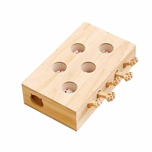 ybgObY Lp FL炵AO@iؔjALVсALAAm炨 [h (5̌)