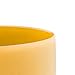 FMTY 10inch Crystal Singing Bowls set prefect pitch(±10HZ) Yellow(Solar plexus)+ Green(Heart) with Soft Carrying Bag Sound Bowls Chakra Bowl