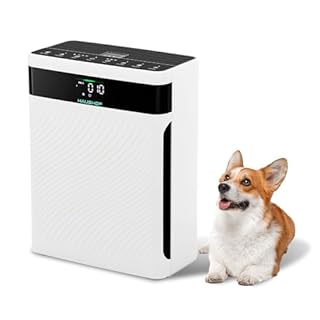 HAUSHOF Purificateur d’Air HEPA H13 CADR 250 m³/h, Filtre HEPA 4-en-1 éliminant 99,97% des polluants, Affichage PM2,5 en Temps Réel, Mode Animal/Pet, Fonction Aromathérapie