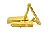LCN 4111SBRH 4111 696 Sprayed Brass Extra Duty Arm Closer x Thru Bolts, Right Hand