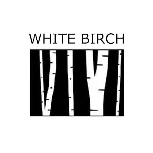 Image of White Birch Fit Pandora Charm Bracelet Best Birthday Gifts for Girls DIY Infinity Love Jewelry