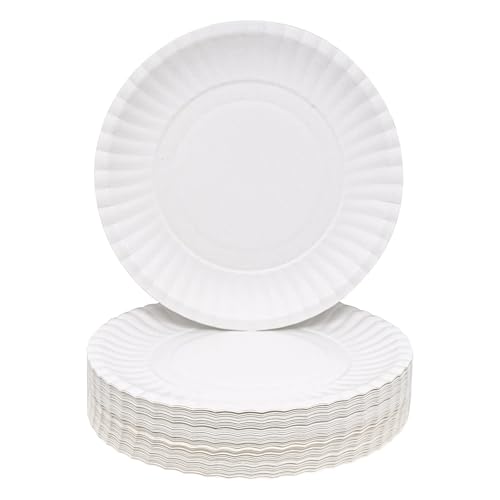 BLLREMIPSUR Platos de papel para cumpleaños, 100 unidades, platos de papel desechables, color blanco, vajilla desechable, platos de papel para fiestas, cumpleaños infantiles, bodas, picnics