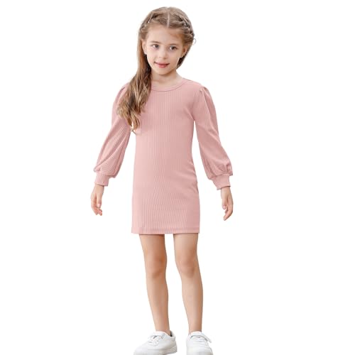 DREAM BUS Toddler Girl Casual Dress Long Sleeve Kint Sweater Dress Kids Fall Winter Mini Dress Special Occasion Dress2