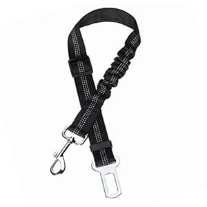 Toozey Riem voor honden, auto, met schokdempingssysteem en karabijnhaak, robuust, verstelbaar, harnas voor honden en katten, zwart