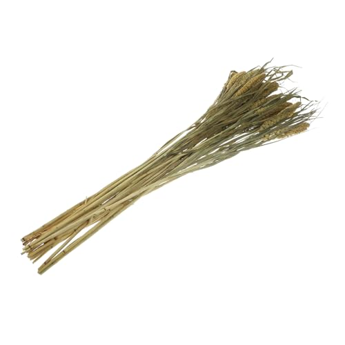 UTHCLO VRnX^[Q ԕt Rf pP[W ȃXy[XŉKȏZ nX^[⏬̐n