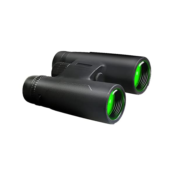12x42 Fernglas FüR Erwachsene Bak4 Prisma Fmc Objektiv GroßEs Okular Kompaktes Vogelbeobachtung Jagd Reisen Konzerte