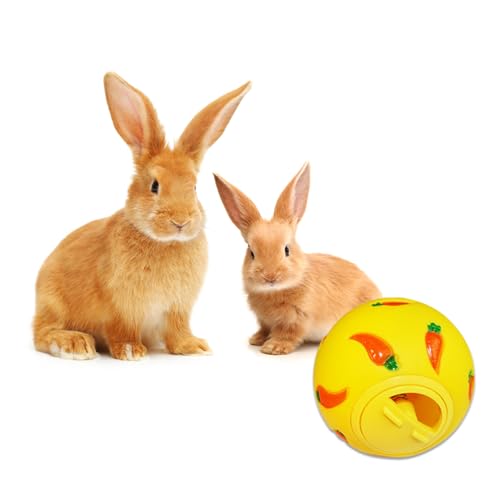 ������ �������� �{�[�� �E�T�M�̂���{�[�� �y�b�g�X���[�t�B�[�_�[ �C���^���N�e�B�u�������� �h���f�� �H�ׂėV�� ���킢�� ��������� �q�L �n���X�^�[ �������b�g �n���l�Y�~ (�C�G���[)