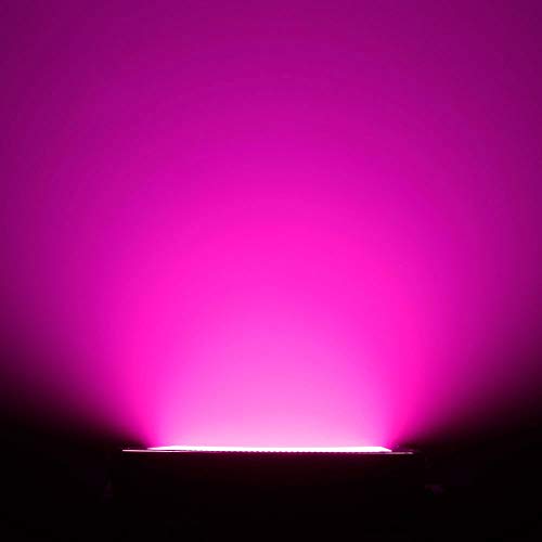 Cameo THUNDER WASH 600 RGB - 3 in 1 Strobe, Blinder und Wash Light 648 x 0,2 W RGB, schwarz