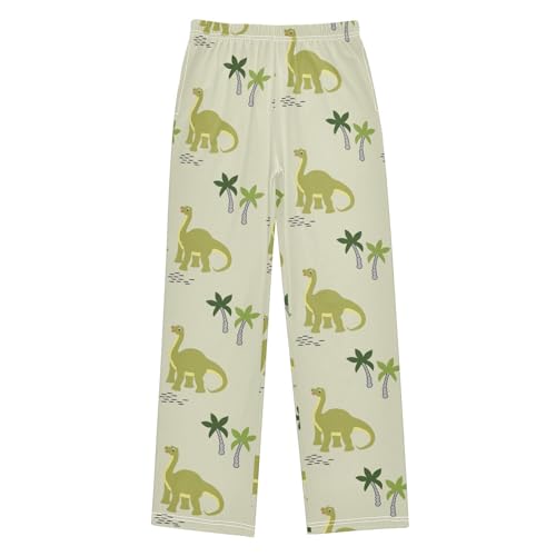 Dinosaurs Boys Pants Boys Athletic Pants Long Pant for Boywith Pockets Wide-Leg Size 6-14Y