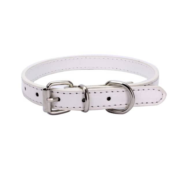 Alloy buckle leather dog collar cat collar size adjustable small and medium dog puppy collar dog supplies