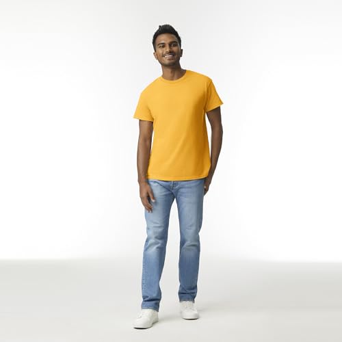 Image of Gildan Men T-Shirt
