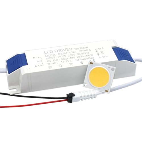 Chip LED COB Bridgelux 40W et son driver DC24-42V Blanc Froid pour projecteur extérieur