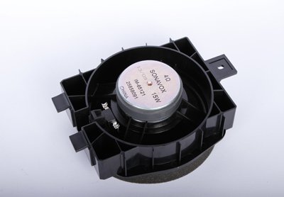 Amazon.com: GM Genuine Parts 25858091 Rear Side Door Speaker 