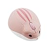 2.4GHz Wireless Mouse Cute Hamster Shape Less Noice Portable Mobile Optical 1200DPI USB Mice Cordless Mouse for PC Laptop Computer Notebook MacBook Kids Girl Men Women Adults Gift (Pink)