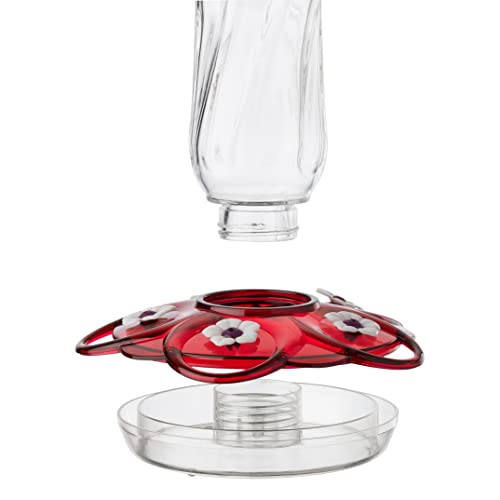 More Birds Orion Hummingbird Feeder, Glass Hummingbird Feeders For Outdoors, 5 Feeding Stations, 16 Ounces #TOP2