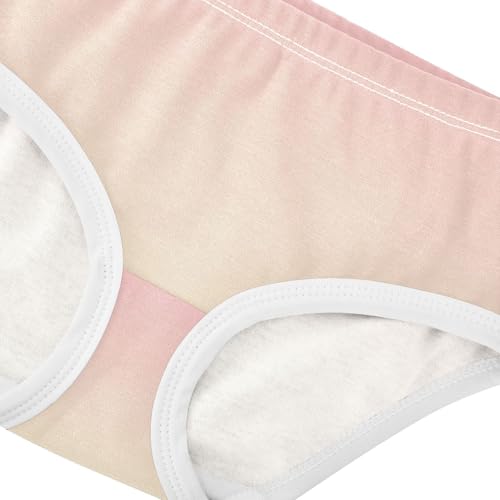 Joisal Pink Light Golden Gradient Toddlers Underwear Floral 2t Cotton Panties for Girl Fun Print Briefs Girls Undies4