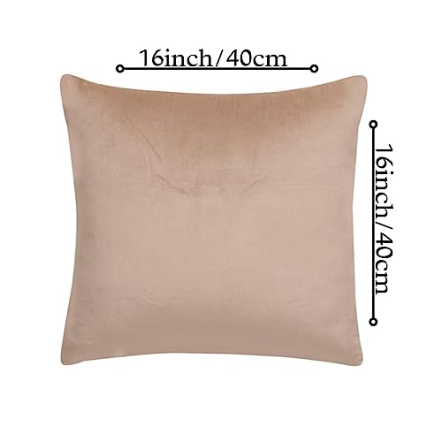 Image of Amazon Brand - Umi Velvet Decorative Cushion Cover 16x16 Inch - Set of 5, Soft Solid Square Throw Pillow Covers for Sofa, Living Room or Home Decor - 40x40 cm in Beige Color