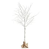 HY-MS クリスマスツリー 白樺 ツリー led ブランチツリー バレンタインデー ギフト 150cm 北欧 おしゃれ ウェルカムツリー christmas tree 120 Led ライト