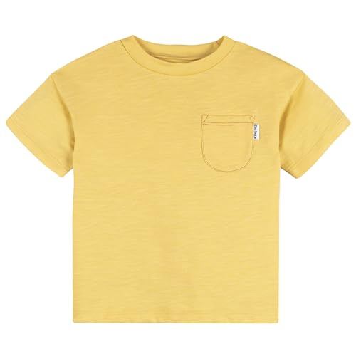 Image of Gerber Baby Boys' Toddler Boys' Shirt and Shorts Set