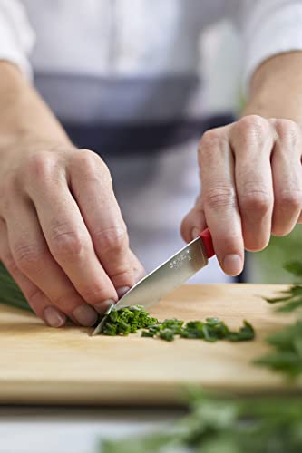 Opinel Les Essentials+ No. 312 Paring Knife, Corrosion Resistant + Dishwasher Safe, Made In France, Red #TOP3