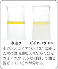Amazon | ガイアの水135 ポット型浄水器 (オレンジ) | ガイアの水13