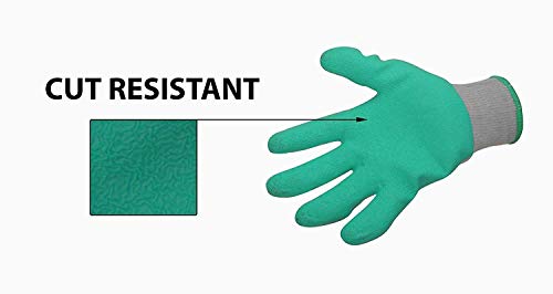 Image of Industrial Gloves Garden Household work Gloves Anti-Slip Grip for Gardening, Farming, Cleaning, Warehouse & Outdoor Work (Green) -Pack of 5