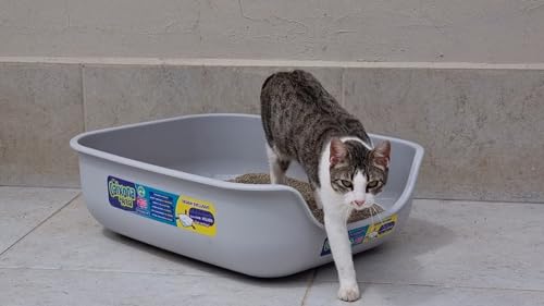 Pet Games Caixona De Areia Gelo - Bandeja Higiênica Para Gatos