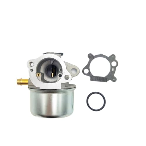Carburateur anti calage pour moteur 6.75 CV reference 497314 790821