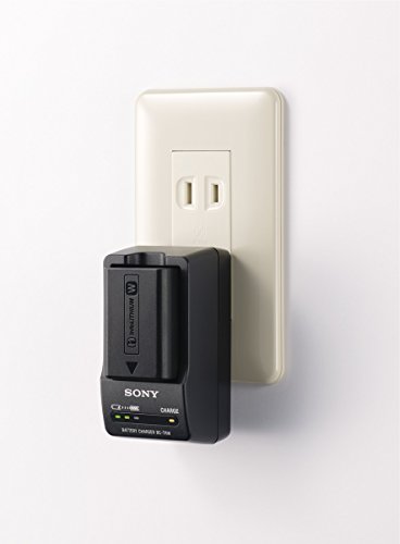 Sony Bc-Trw W Series Battery Charger #TOP2