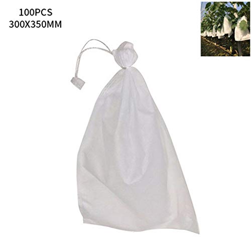 Bolsas protectoras de frutas para evitar plagas de insectos en uvas y verduras de huerto 3