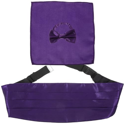 Set corbata preanudada y pañuelo morado para hombre miniatura 1