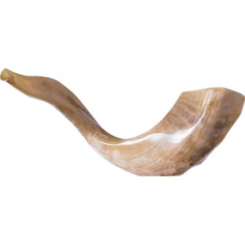 Jerusalem Shofar Kosher Rams Horn Polished Natural Chofar Showfar Jewish Blow Trumpet Gift Elul instrument Cover