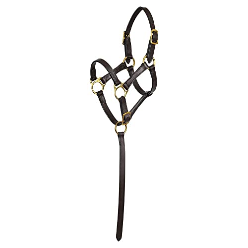Schneiders Premier 2 in 1 Foal Halter for Horses | Universal Fit for Foals | Two Crown Lengths | Quick Lead Grab Strap | Double Adjustable Crown and Curb Strap | Durable Brass Hardware